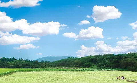 온 가족이 특별한 추억을 쌓는 5월, <가정의 달> 어린이와 함께 하는 특별한 제주 행사 대표이미지