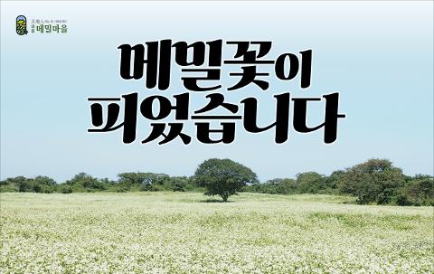 2025 자청비 봄 와흘메밀 문화제 대표이미지