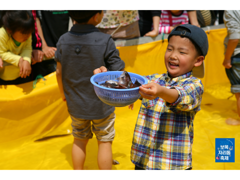 제21회 보목자리돔축제 대표이미지