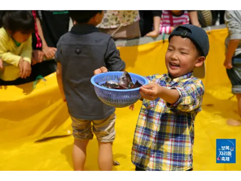 甫木斑鳍光鳃鱼庆典 대표이미지
