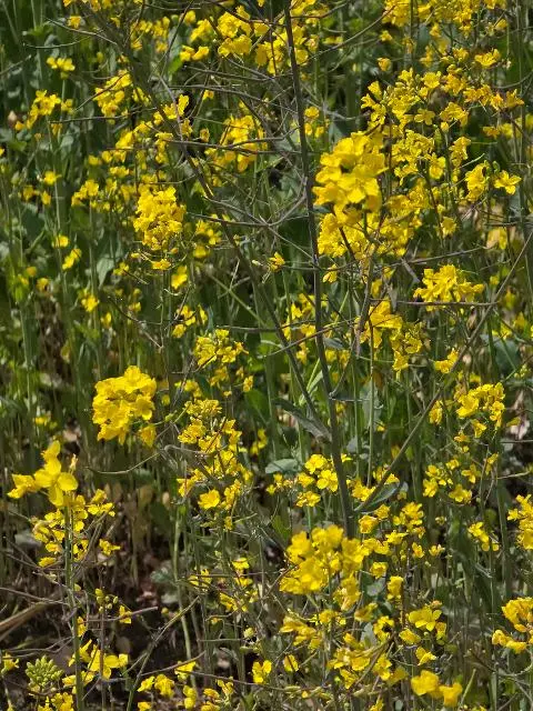 비짓제주 구독자 이벤트 <비짓제주 구독 서비스 오픈 이벤트>