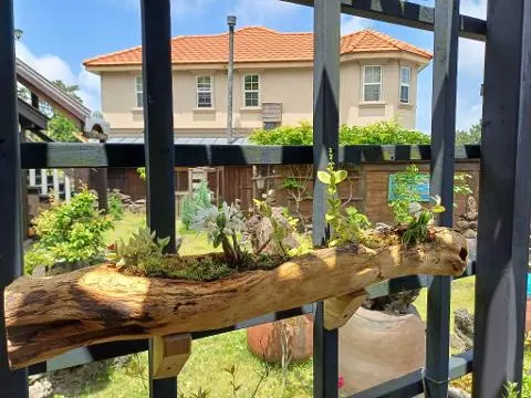 나미송 머무는 곳