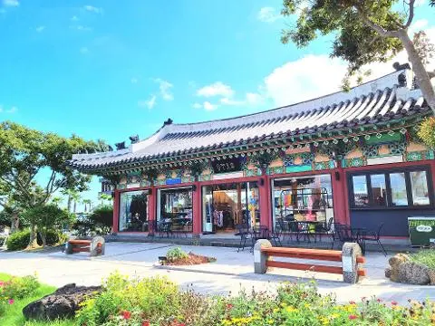 Jungmun Surfing School 대표이미지