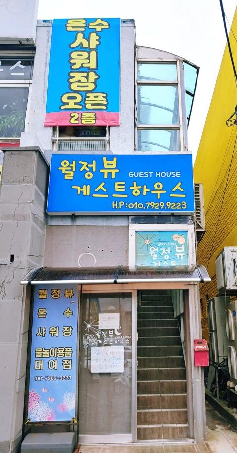 코난비치스노쿨링대여점 월정뷰게스트하우스 대표이미지