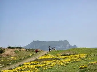 비짓제주 구독자 이벤트 <비짓제주 구독 서비스 오픈 이벤트>