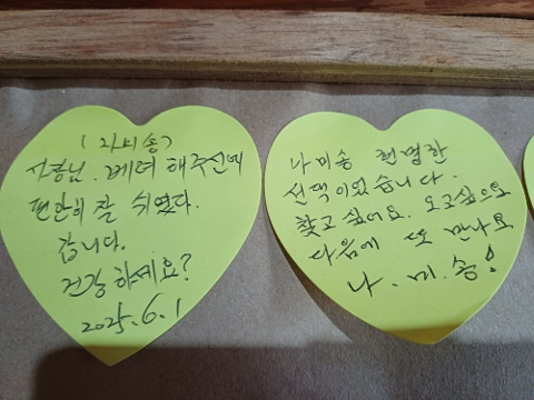 나미송 머무는 곳
