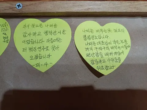 나미송 머무는 곳