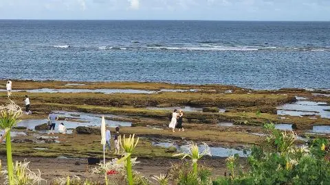비짓제주 여름 이벤트! <제주 디지털 관광증의 이름은 무엇일까요?>