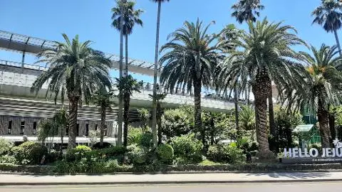 비짓제주 여름 이벤트! <제주 디지털 관광증의 이름은 무엇일까요?>