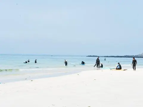 Woljeong Bajeul Surfing & Paddleboard