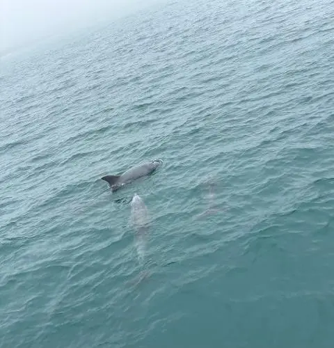 비짓제주 여름 이벤트! <제주 디지털 관광증의 이름은 무엇일까요?>