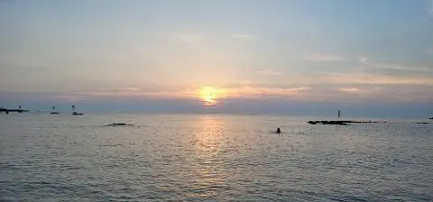 비짓제주 여름 이벤트! <제주 디지털 관광증의 이름은 무엇일까요?>