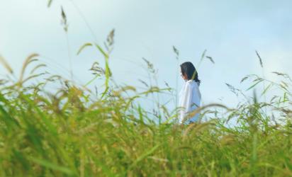 2025 濟州旅遊推薦：不可錯過的“春季”濟州之旅 <SPRING IN JEJU: TRAVEL YOUR WAY-濟州的春天，融入妳的喜好> 대표이미지