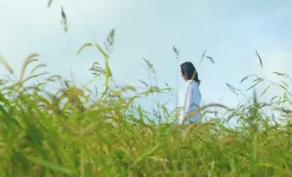 2025 濟州旅遊推薦：不可錯過的“春季”濟州之旅 <SPRING IN JEJU: TRAVEL YOUR WAY-濟州的春天，融入妳的喜好> 대표이미지