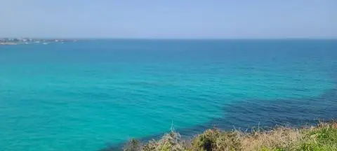 비짓제주 여름 이벤트! <제주 디지털 관광증의 이름은 무엇일까요?>