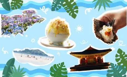 제주의 여름을 더욱 '진하게' 즐기는 방법 제철코어: 여름편 in 제주 대표이미지