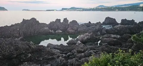 비짓제주 여름 이벤트! <제주 디지털 관광증의 이름은 무엇일까요?>