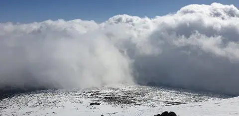 비짓제주 여름 이벤트! <제주 디지털 관광증의 이름은 무엇일까요?>