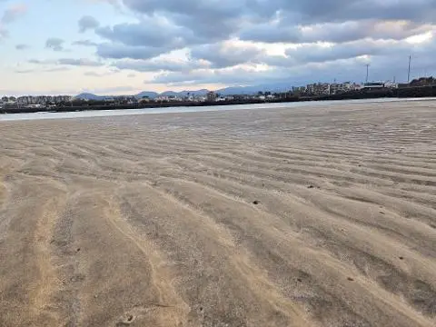 비짓제주 여름 이벤트! <제주 디지털 관광증의 이름은 무엇일까요?>