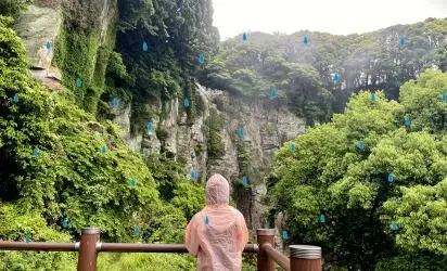 비가 온다고? 오히려 좋아! Rainy Day in JEJU 대표이미지
