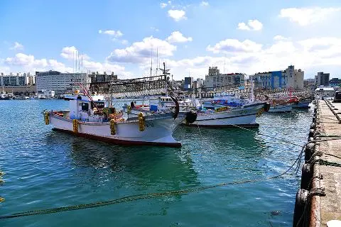 비짓제주 여름 이벤트! <제주 디지털 관광증의 이름은 무엇일까요?>