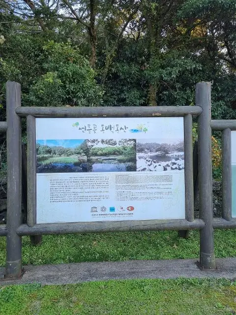 비짓제주 여름 이벤트! <제주 디지털 관광증의 이름은 무엇일까요?>