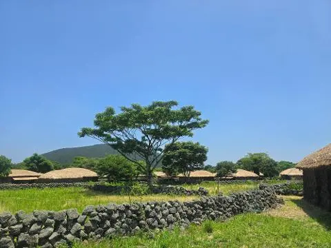 비짓제주 여름 이벤트! <제주 디지털 관광증의 이름은 무엇일까요?>