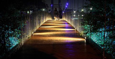 "More Beautiful in the Dark: The Season for Jeju Island Nights" Night Tours to Enjoy in Jeju 대표이미지