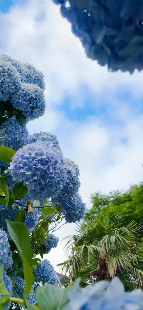 이벤트 <당신의 여행 취향은 무엇인가요?>