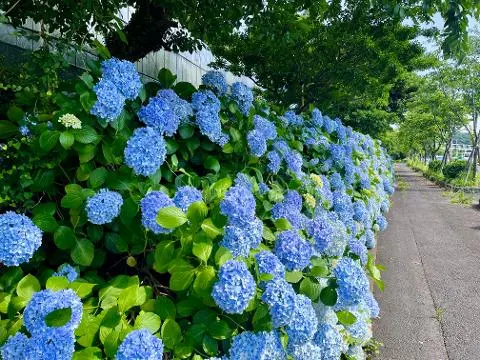 이벤트 <당신의 여행 취향은 무엇인가요?>