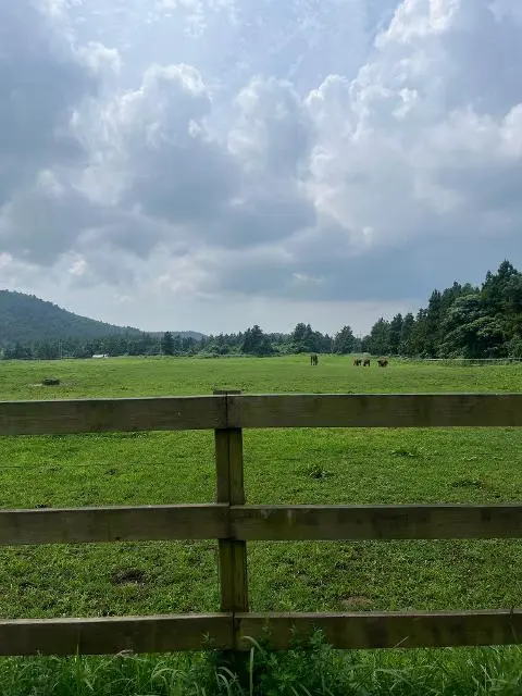 이벤트 <당신의 여행 취향은 무엇인가요?>