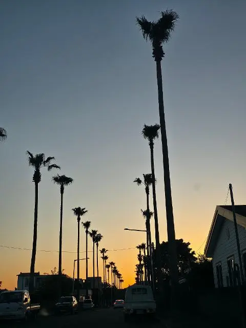 이벤트 <당신의 여행 취향은 무엇인가요?>