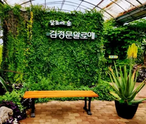 김정문알로에 알로에숲