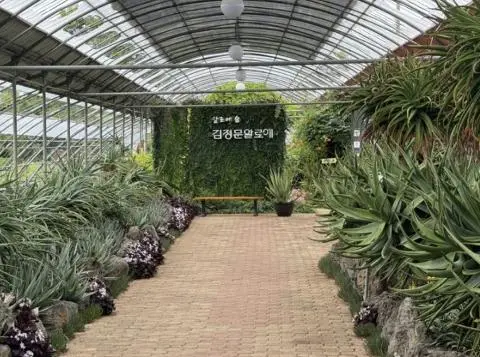 김정문알로에 알로에숲