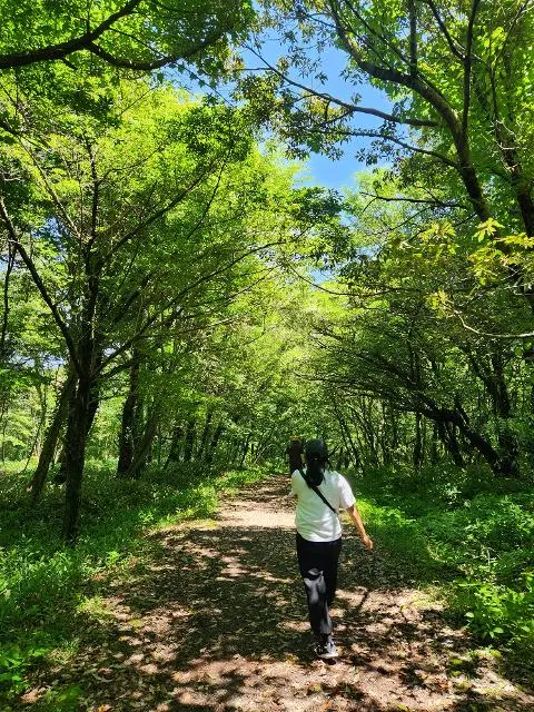 이벤트 <당신의 여행 취향은 무엇인가요?>