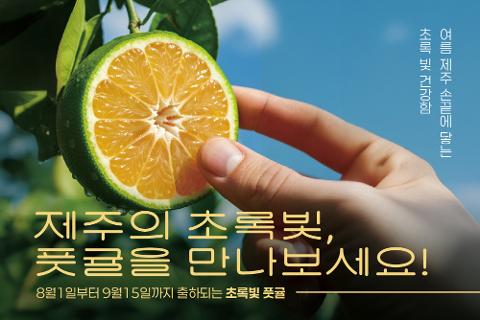 제주의 여름, 풋귤과 함께 건강을 담다 대표이미지