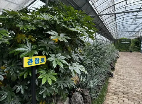 김정문알로에 알로에숲