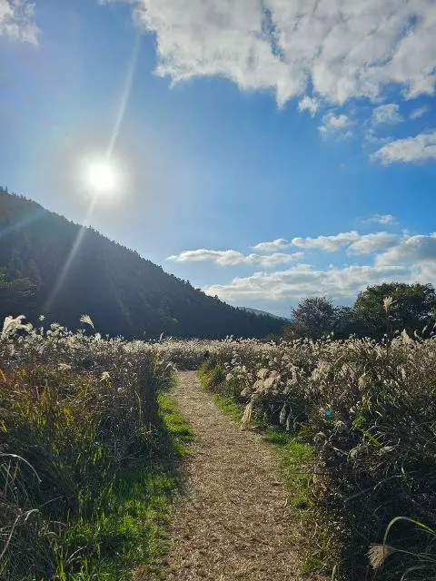이벤트 <당신의 여행 취향은 무엇인가요?>