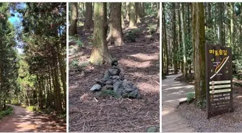 이벤트 <당신의 여행 취향은 무엇인가요?>