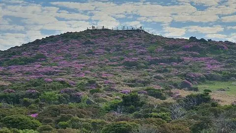 이벤트 <당신의 여행 취향은 무엇인가요?>