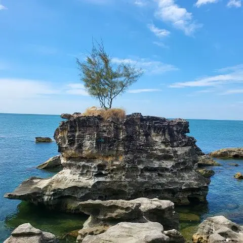 이벤트 <당신의 여행 취향은 무엇인가요?>