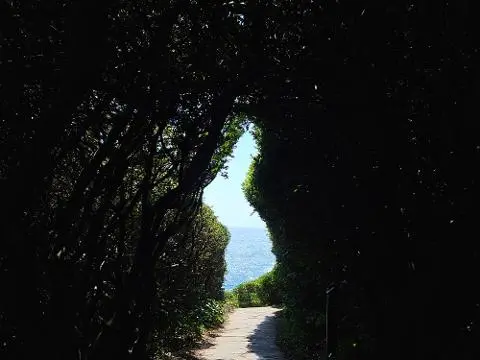 이벤트 <당신의 여행 취향은 무엇인가요?>