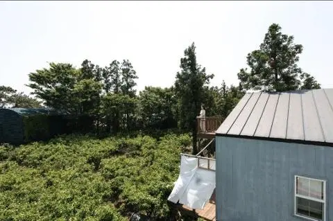 제주도작은집 작은별 대표이미지