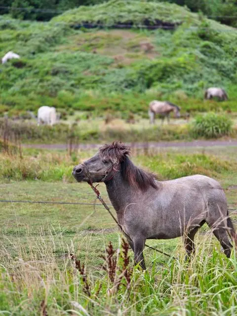 이벤트 <당신의 여행 취향은 무엇인가요?>