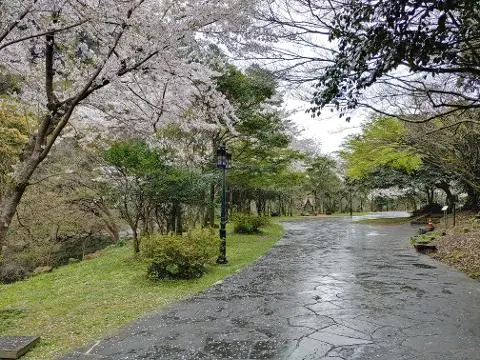 이벤트 <당신의 여행 취향은 무엇인가요?>