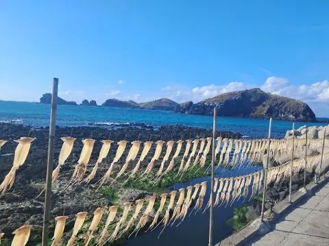 이벤트 <당신의 여행 취향은 무엇인가요?>