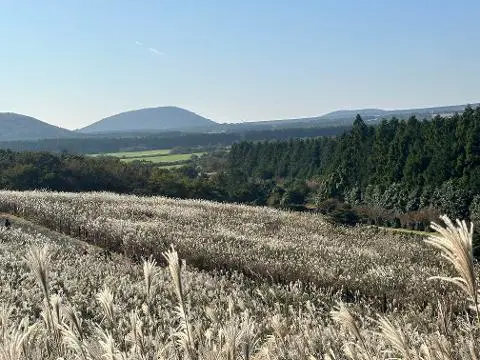 이벤트 <당신의 여행 취향은 무엇인가요?>