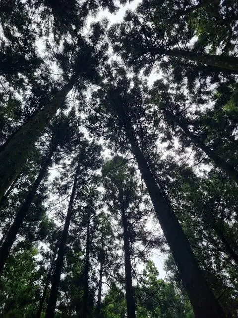 이벤트 <당신의 여행 취향은 무엇인가요?>