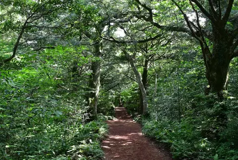 이벤트 <당신의 여행 취향은 무엇인가요?>