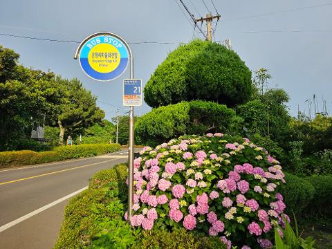 2025 놓치지 말아야 할 ‘여름’ 제주관광 <SUMMER IN JEJU: TRAVEL YOUR WAY - 제주의 여름, 당신의 취향을 담다>